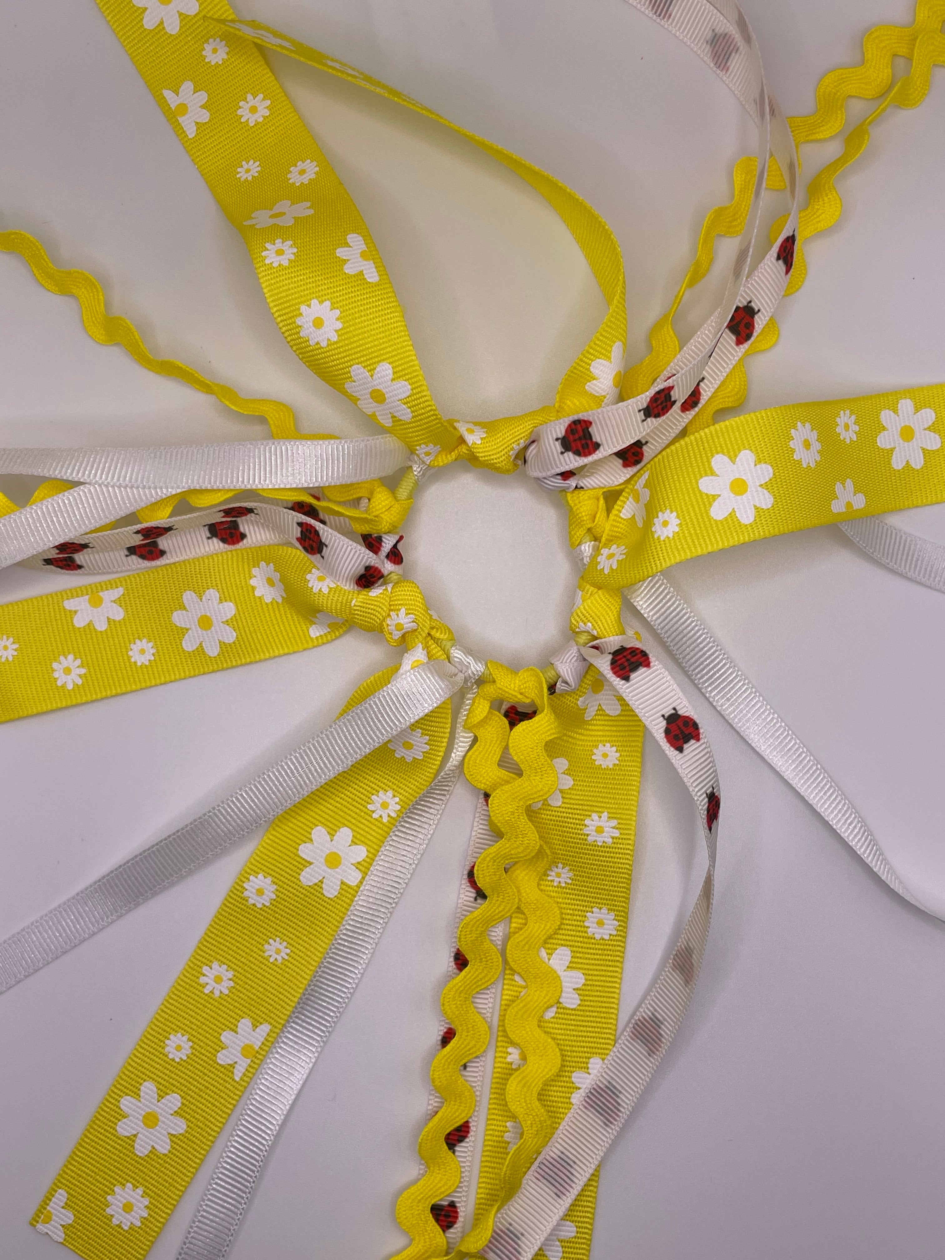 Daisy and Lady Bug Ribbon Hair Tie
